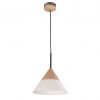 Scandinavian lighting Wooden pendant lamp with glass shade manufacturer and supplier-Perfect lighting