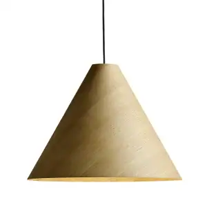 Designer pendant lights Decorative wooden pendant lamp from perfect lighting (manufacturer and supplier)